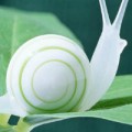 沙盘界大佬！！！dalao！！